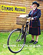regular basket on mid 20th century women's bicycle 