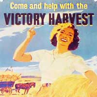 land girls help with ww2 harvest