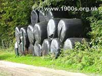 Black polythene bags of hay/silage