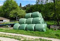 Green polythene bags of hay/silage