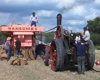 Ransomes threshing machine driven by steam traction engine