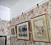 Pictures hanging from picture rails, late 1800s to mid 1900s. Below the picture rails was wallpaper and above was known as a 'drop ceiling' and painted the same colour as the ceiling.