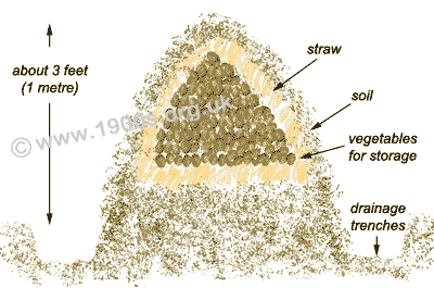 World+war+1+trenches+diagram