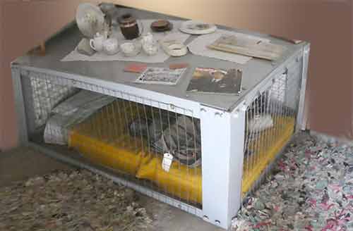 Morrison shelter - the view that an adult sees, looking down on the shelter, the top of which was used as a table.