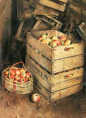 Greengrocer's wooden vegetable box, known as an 'orange box', here containing apples