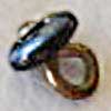 Shoe button with its large rounded metal shank