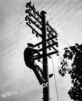 Engineer climbing a telephone pole with special grips on his legs, 1940s and 1950s Britain