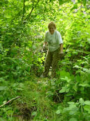 Grave of Daniel Cole 1772-1840