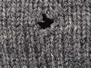 moth hole in wool